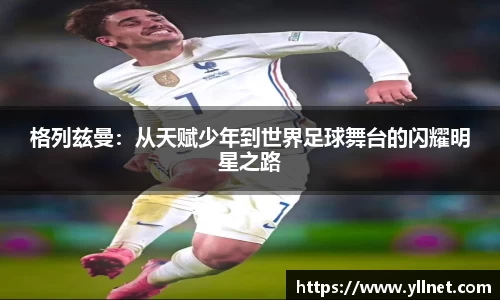 贝博ballbet艾弗森官网