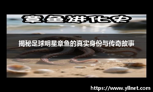 揭秘足球明星章鱼的真实身份与传奇故事